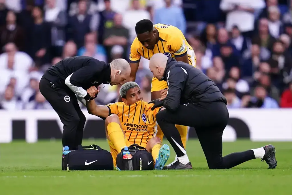 Latest Injury Updates on Brighton Duo Diego Gomez and Mats Wieffer