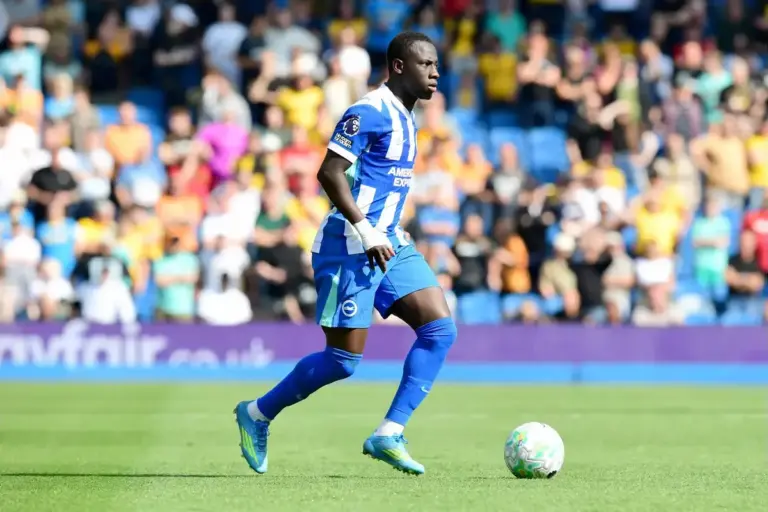 Yankuba Minteh Backs Brighton for Champions League After Wolves Victory