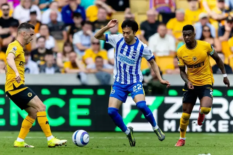 Brighton vs Wolves: The Last Five Meetings