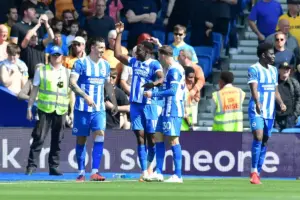Match Report: Brighton Continue European Charge With Comfortable Win Over Wolves