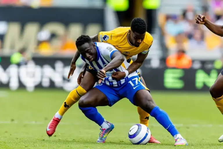 Every Player Who Played for Both Brighton and Wolves